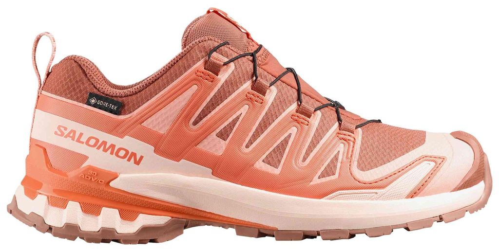 Turnschuhe Salomon Xa Pro 3d V9 Gore Tex "Pecan Brown / Produktbild 