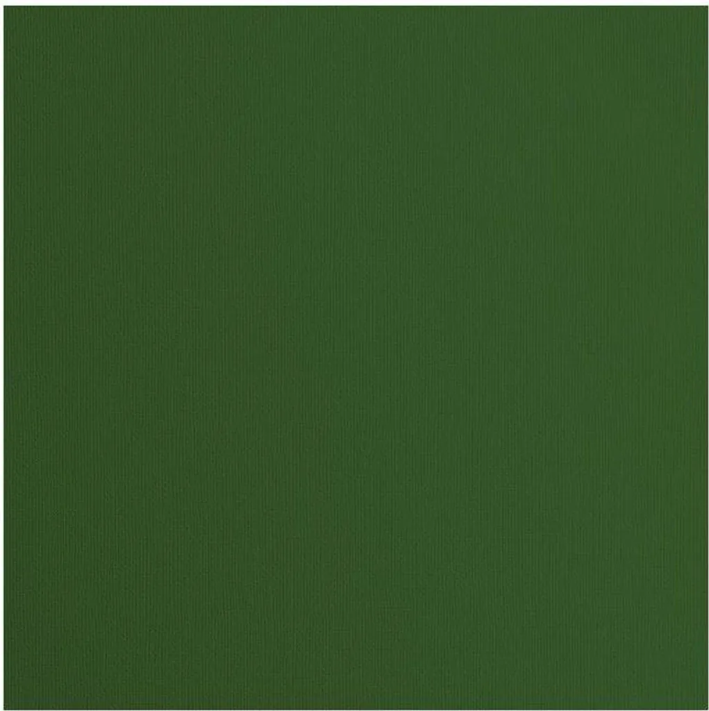 Papier Florence Tonkarton Pin Texture 30,5x30,5cm pour Scrapbooking