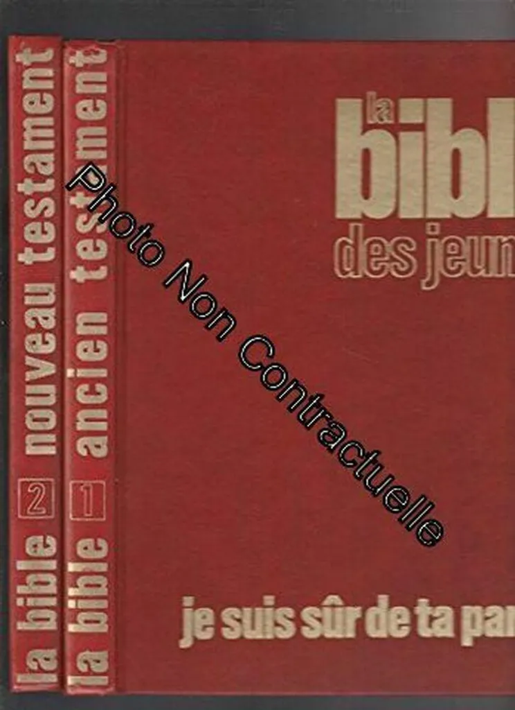 Comprendre la Bible des Jeunes Je suis S - Texte Simplifié Facile