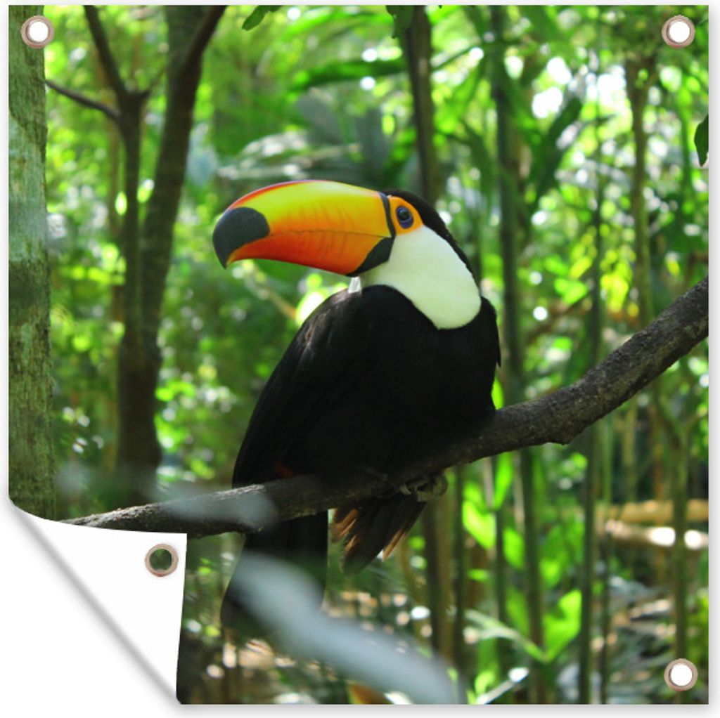MuchoWow 50x50 cm Outdoor-Poster Gartendeko Sichtschutz Garten Poster für den Garten Tukan im Baum