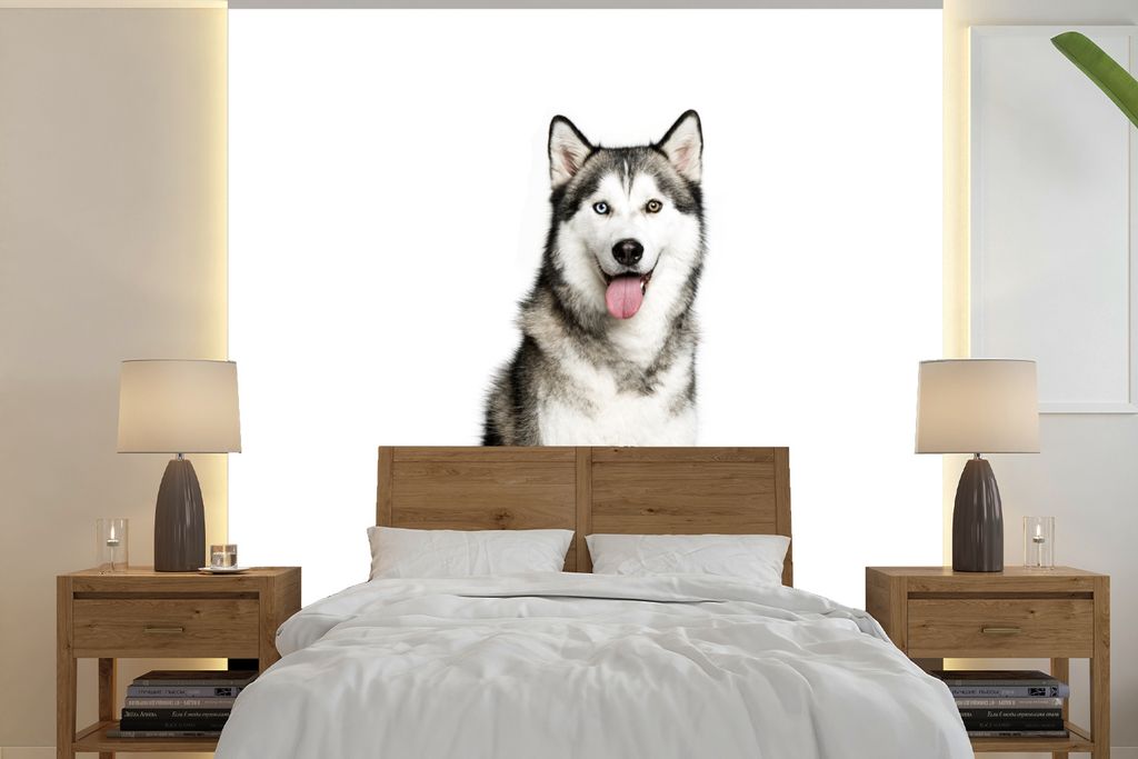 MuchoWow Fototapete für Wohnzimmer oder Schlafzimmer Wandtapete Vinyl Motivtapete Husky-Porträt - 280x280 cm - Hintergrundbild