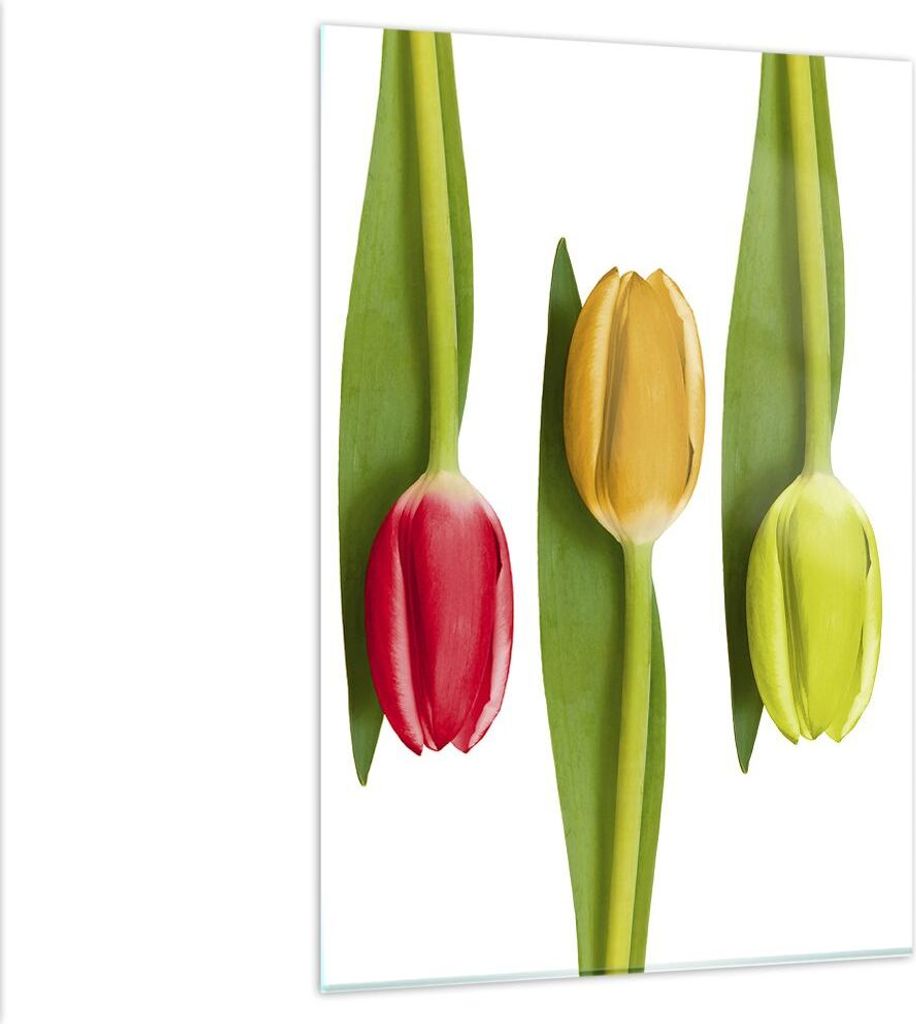 Bilder auf glas - Einteilig - Tulpe Blume Garten Komposition - 80x120cm - Glasbilder - Wandbilder - Bilder - Wanddekoration aus Glas - Glas Bilder ...