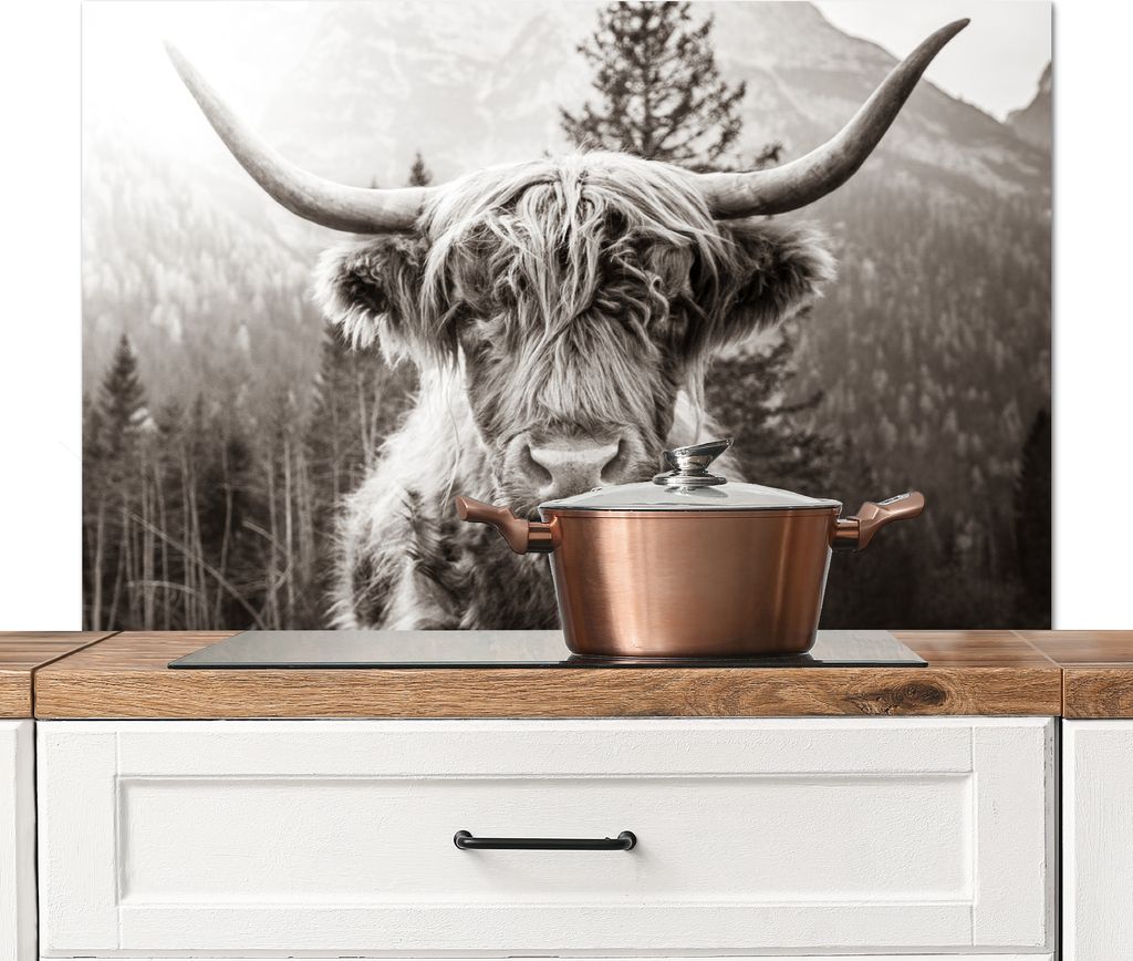 KitchenYeah Spritzschutz Küche - Küchenrückwand - Wandschutz für Herd und Spüle - Schottisches Hochlandrind - Kuh - Tiere - Schwarz - Weiß ...