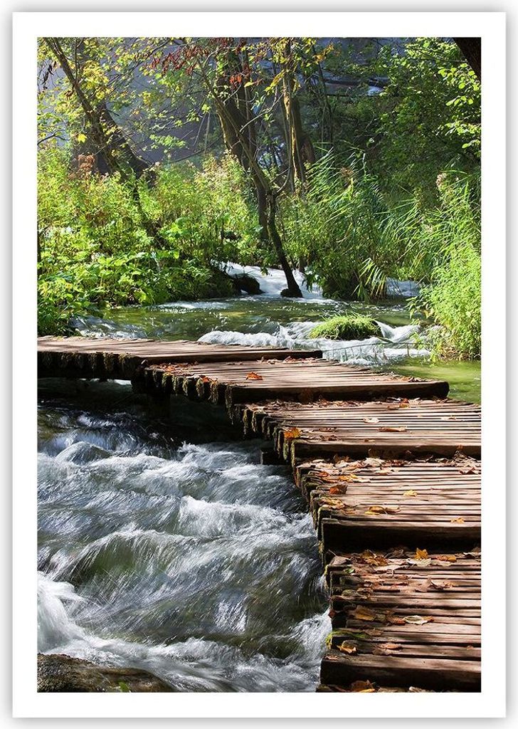 Poster - Poster ohne Rahmen - Park natur grün bäume - Produktbild 