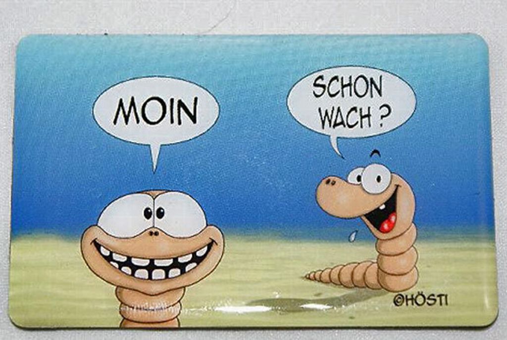 Kühlschrankmagnet Moin schon wach Hösti Magnet maritime Deko