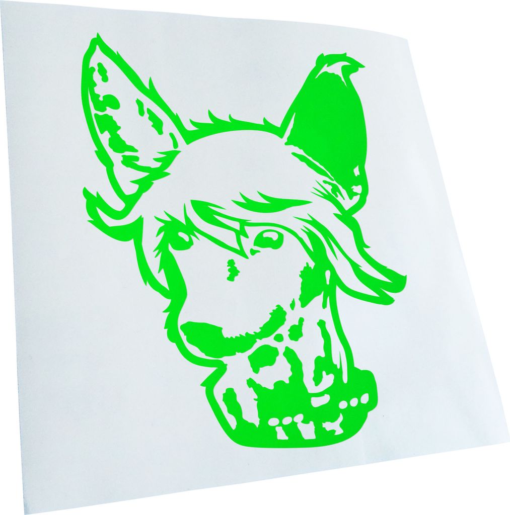 Kiwistar - Autoaufkleber - Chinese Crested Hund - Neongrün - 40x31cm - Aufkleber für Auto, Laptop, Fahrrad, LKW, Motorrad mehrfarbig JDM Decal Ra...