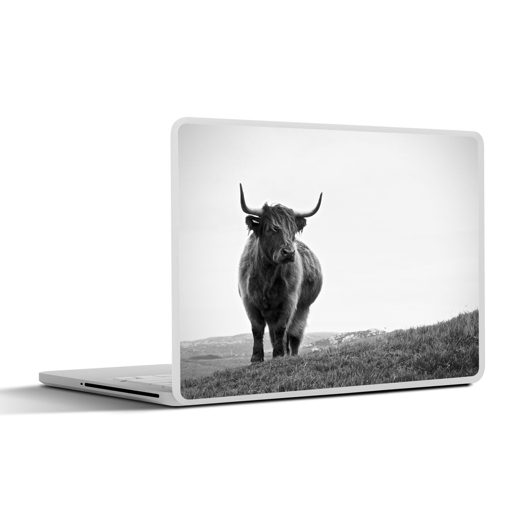MuchoWow Laptop Aufkleber Sticker Cover Tiere - Schottische Hochlandbewohner - Schwarz und weiß - Natur - Ländlich 30x22 cm - Laptop-Sticker