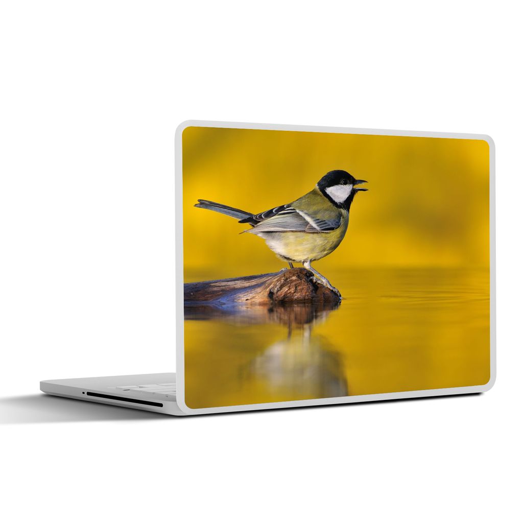 MuchoWow Laptop Aufkleber Sticker Cover Kohlmeise - Vogel - Wasser 31x22.5 cm - Laptop-Deko