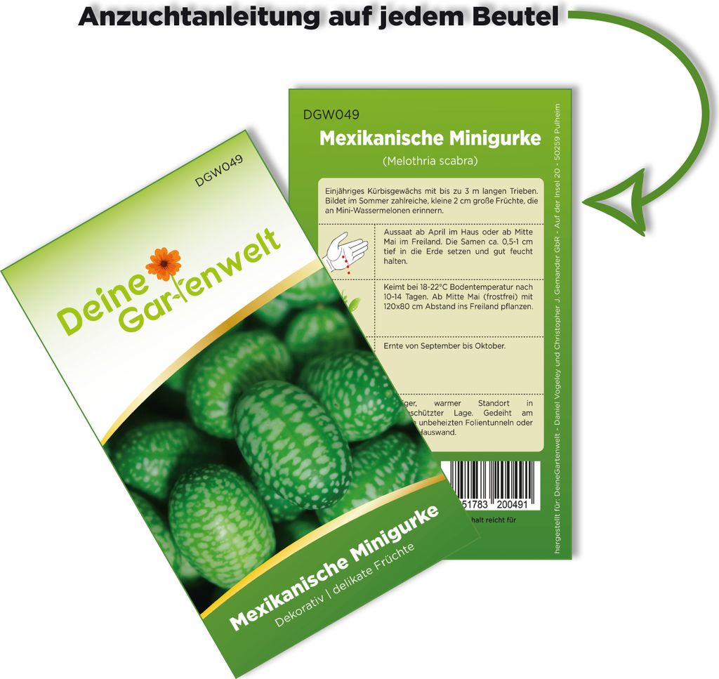 Mexikanische Minigurke  Samen - Melothria scabra - Produktbild 3
