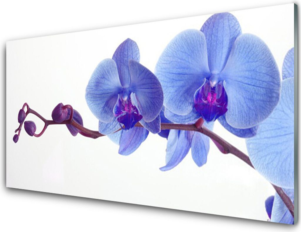Acrylglasbilder 100x50 Wandbild Druck Blumen Pflanzen