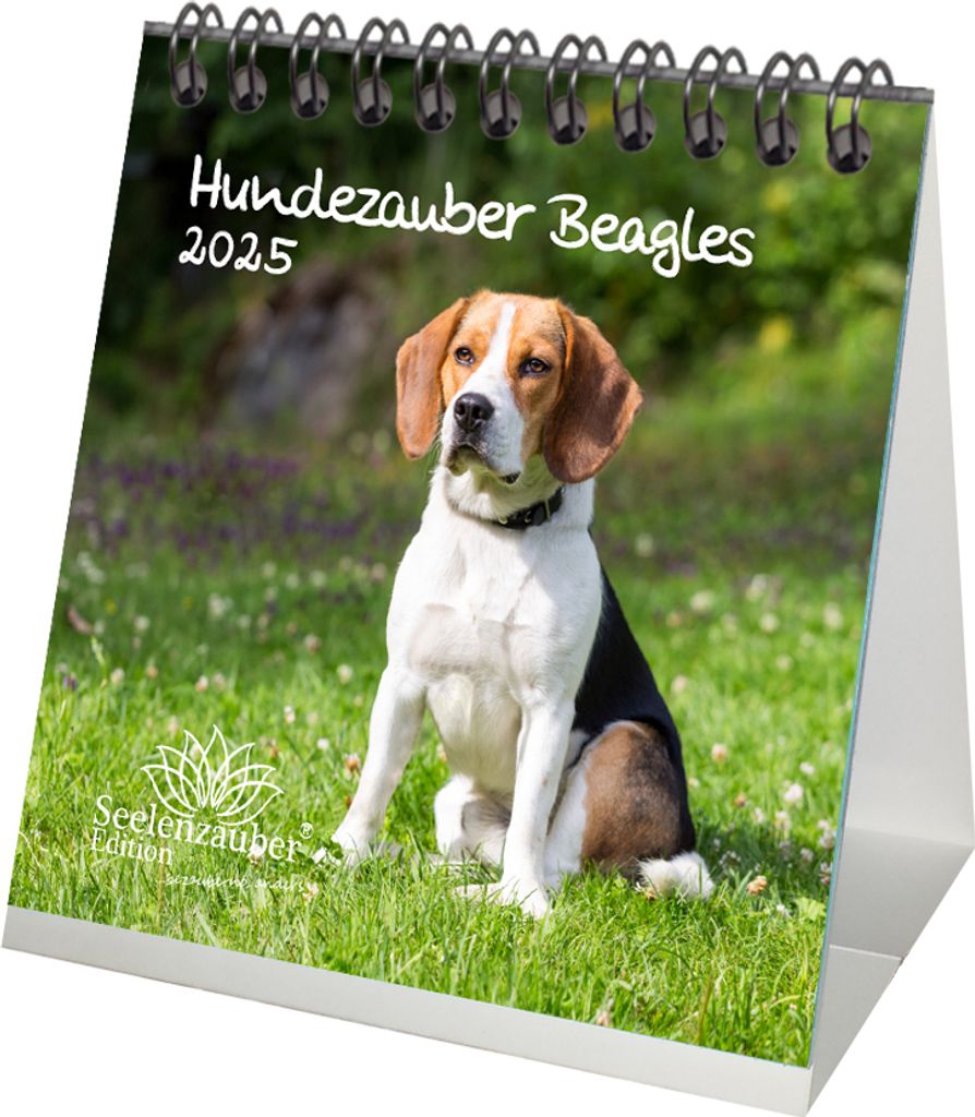 Hundezauber Beagles Kalender für 2025 Format 10cm x 10cm Welpen und Hunde - Seelenzauber