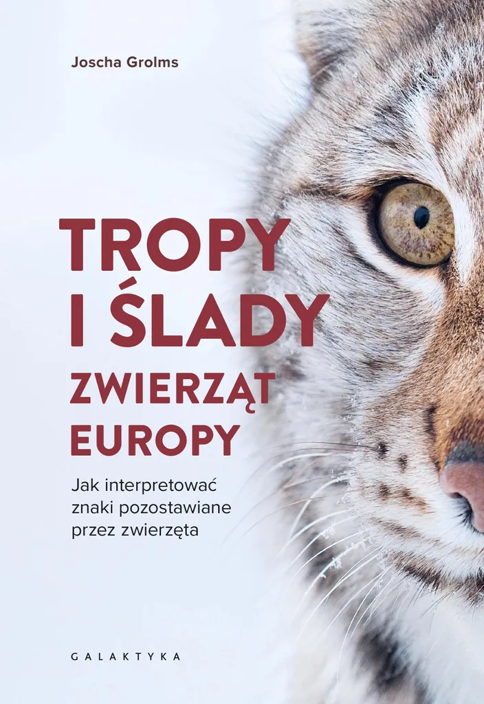 Pister les animaux d'Europe Guide Pratique pour Randonnée et Nature