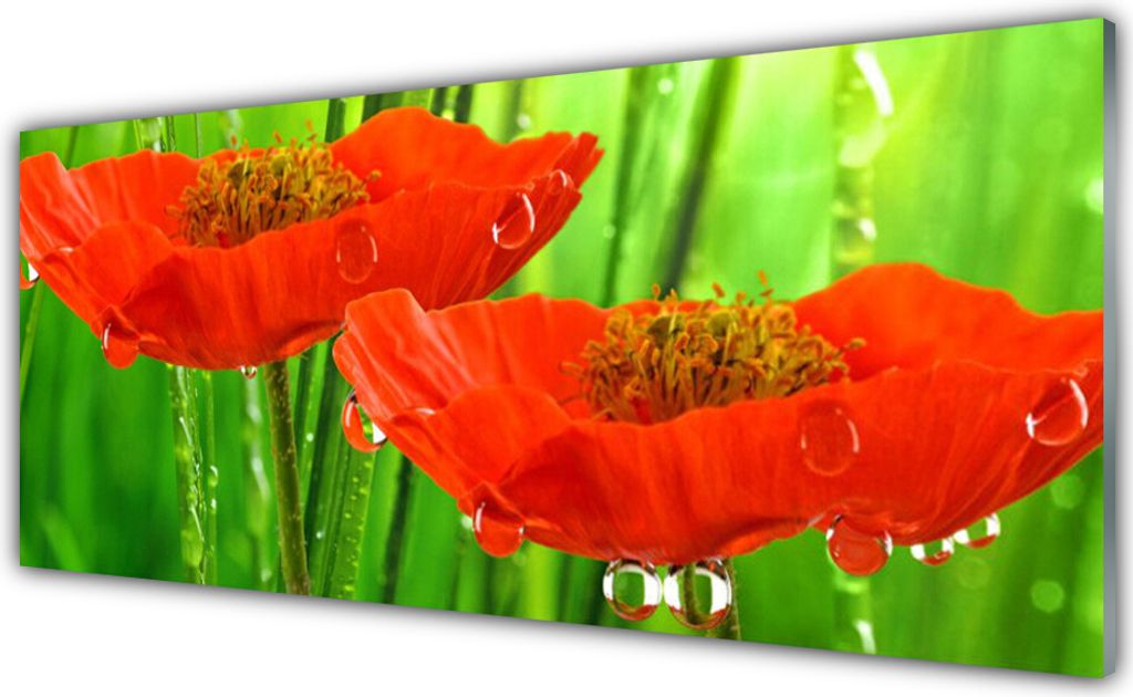 Glasbilder 125x50 Wandbild Druck auf Glas Mohnblumen Pflanzen