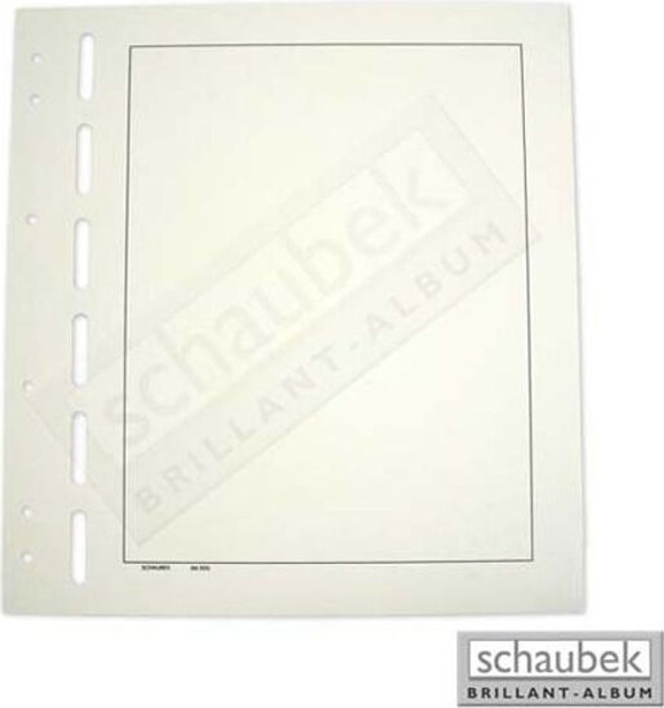 Schaubek Blankoblätter bb500-10 gelblich-weiß mit Rahmen - Albumpapier