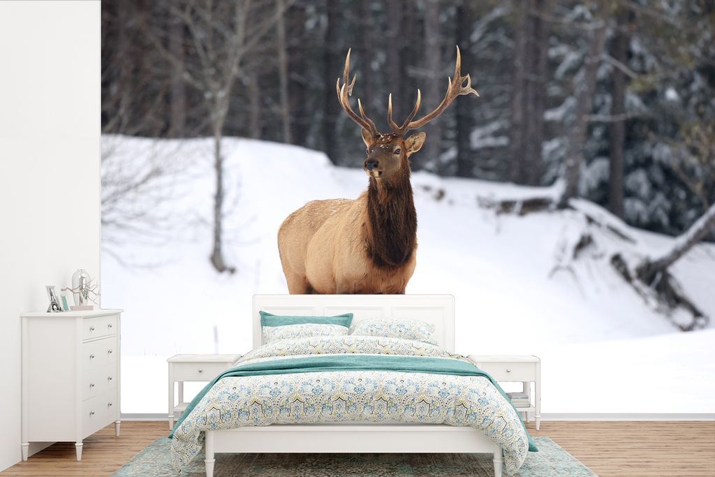 MuchoWow Fototapete für Wohnzimmer oder Schlafzimmer Wandtapete Vinyl Motivtapete Rotwild - Schnee - Winter - 600x400 cm - Vinyltapeten