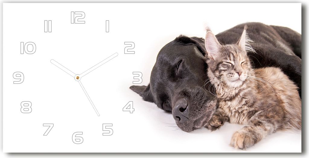Wanduhr aus Glas – 60x30 cm - Glasbild - Glasuhr - Gehärtetes Glas - weisse-zeiger - Hund mit einer Katze