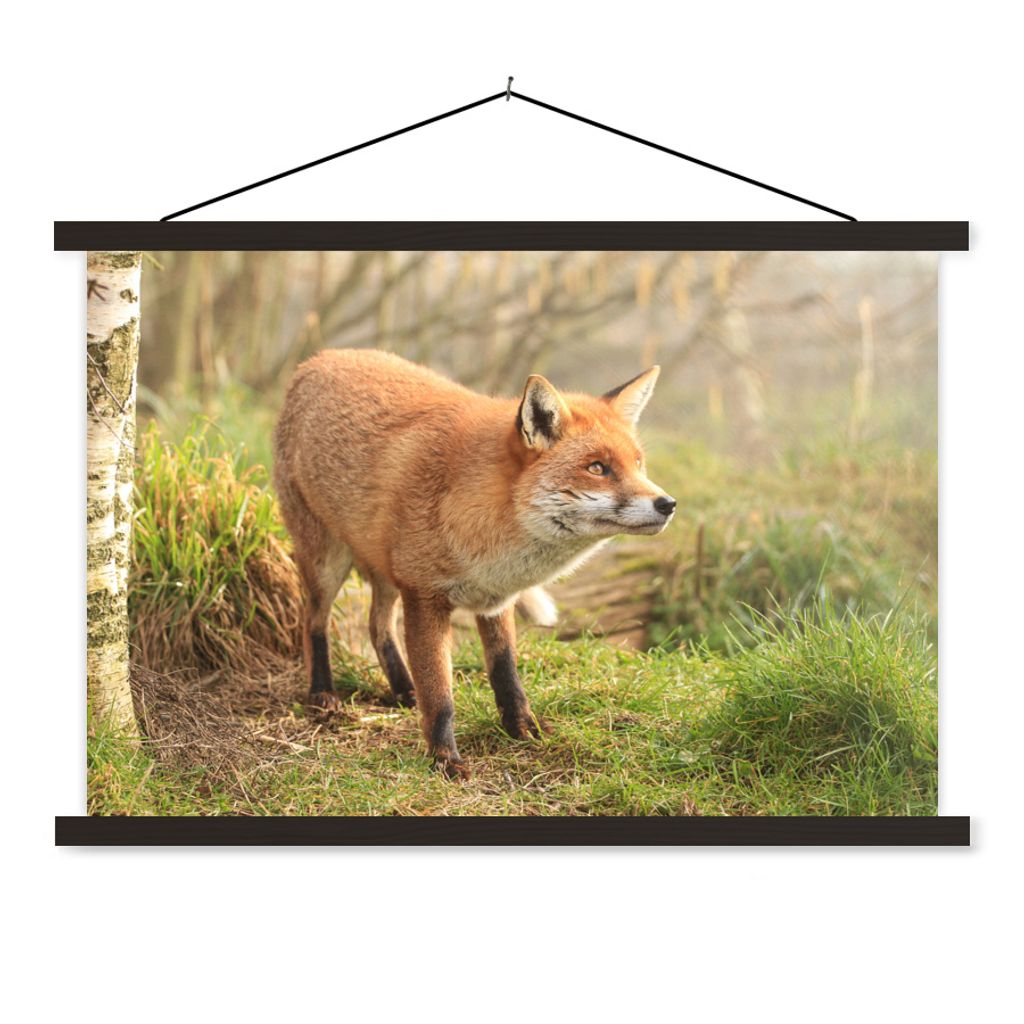 MuchoWow Textilposter Fuchs - Wald - Licht 120x80 cm mit schwarzem Rahmen - Wanddeko