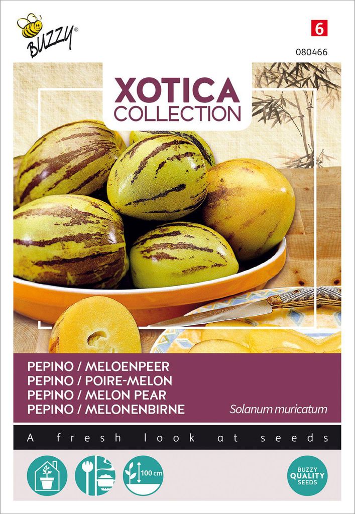 Buzzy Xotica Pepino melón hruška semená - cca 15 semien | Obrázok produktu 