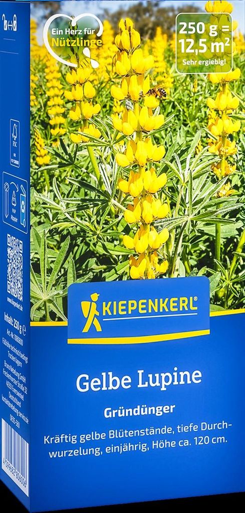 Kiepenkerl Saatgut Gelbe Lupine Lupinus luteus Gründüngung Produktbild 