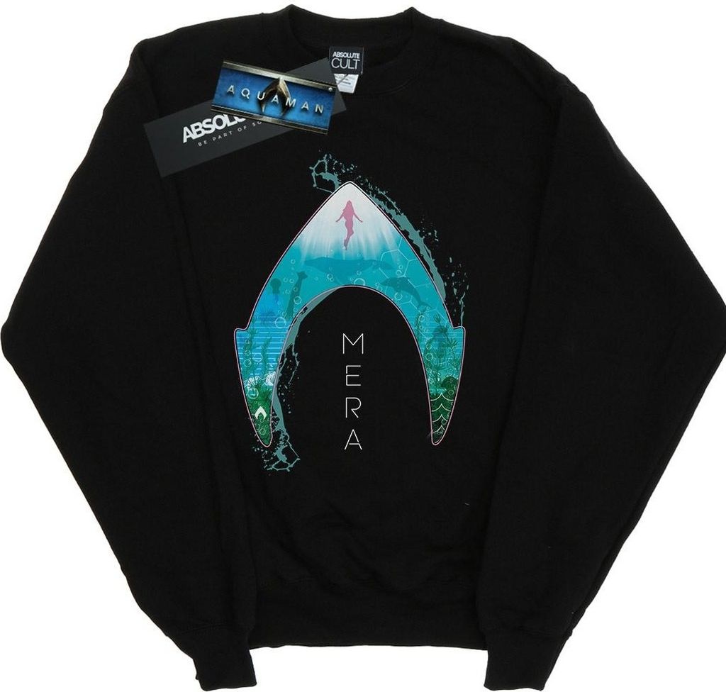 DC Comics - Sweatshirt für Herren BI9075 (XXL) (Schwarz)
