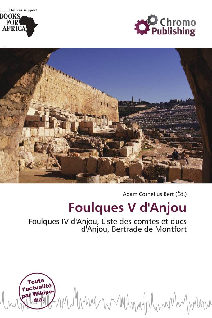 Foulques V Danjou