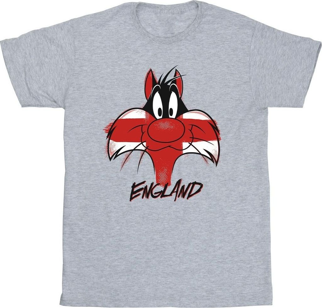 Looney Tunes - T-Shirt für Herren BI36172 (S) (Grau)