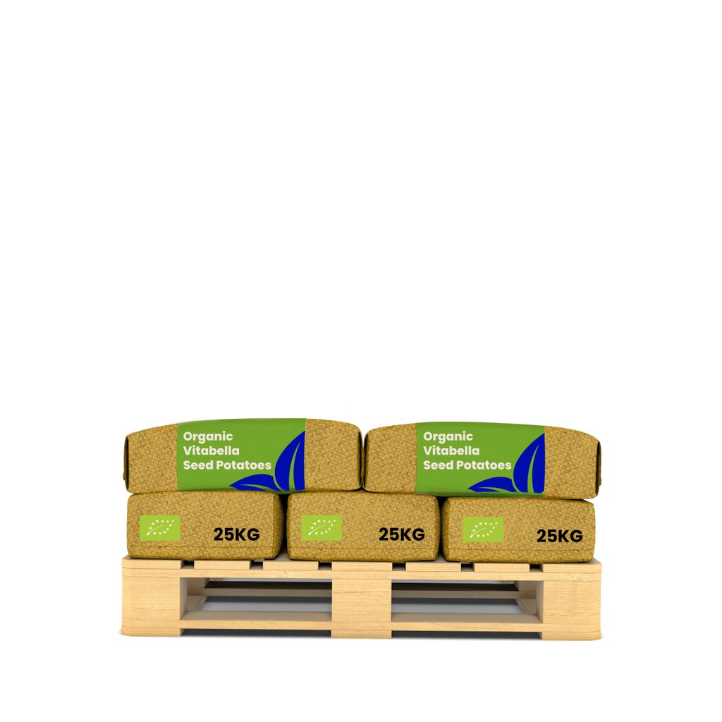 -Saatkartoffeln Vitabella A 28/35 (10x = 250 kg) - Organifer