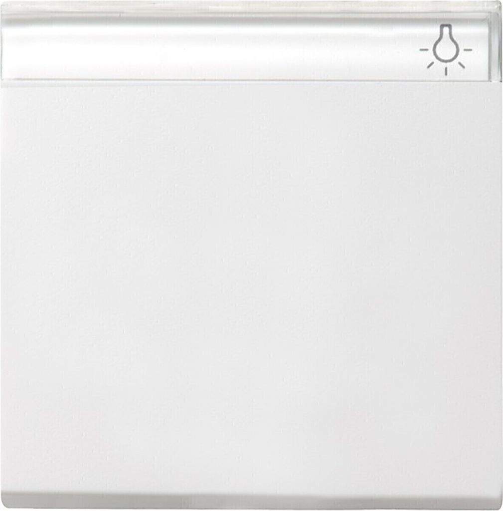 GIRA 029903 Wippe Beschriftungsfeld System 55 Reinweiß glänzend