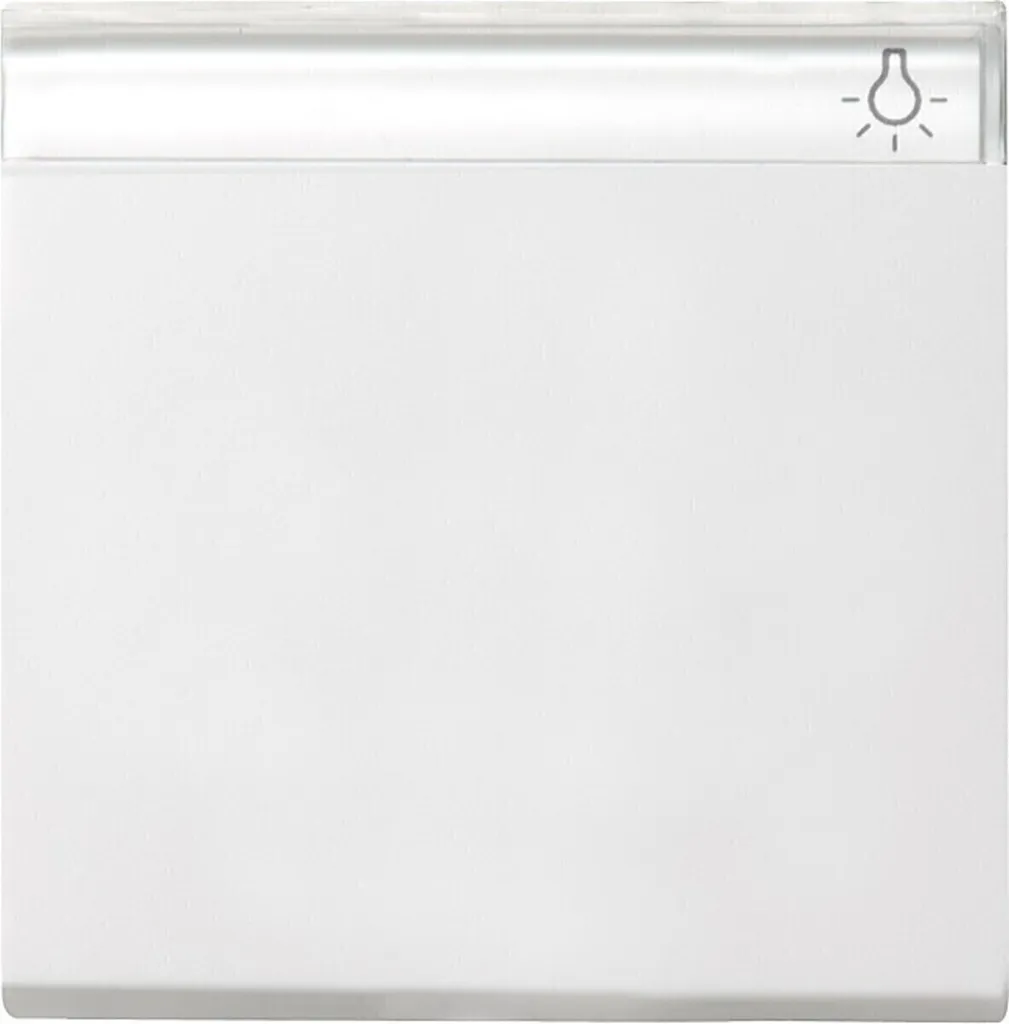 Gira 029927 RWS Wippe avec Panneau d'Inscription Blanc Pur Brillant