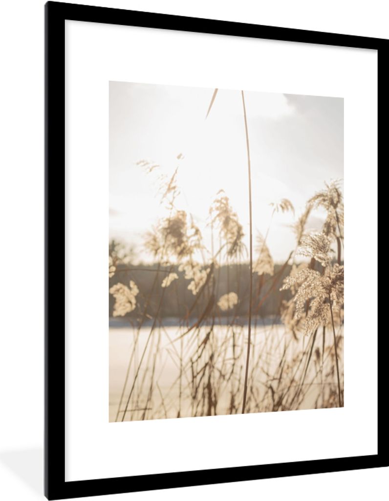 MuchoWow Gerahmtes Poster Wasser - Pampasgras - Pflanzen 60x80 cm - Poster mit Schwarzem Bilderrahmen Wandposter Rahmen Foto Bilder - Wohnzimmer ...