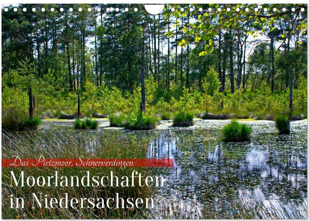 Niedersachsens Moorlandschaften - Das Pietzmoor, Schneverdingen (Wandkalender 2026 DIN A4 quer), CALVENDO Monatskalender
