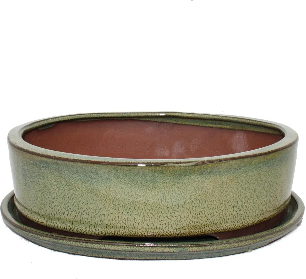 Coupe Bonsaï avec Soucoupe Gr. 4 Olive-Brun Ovale Modèle o1 L 25cm