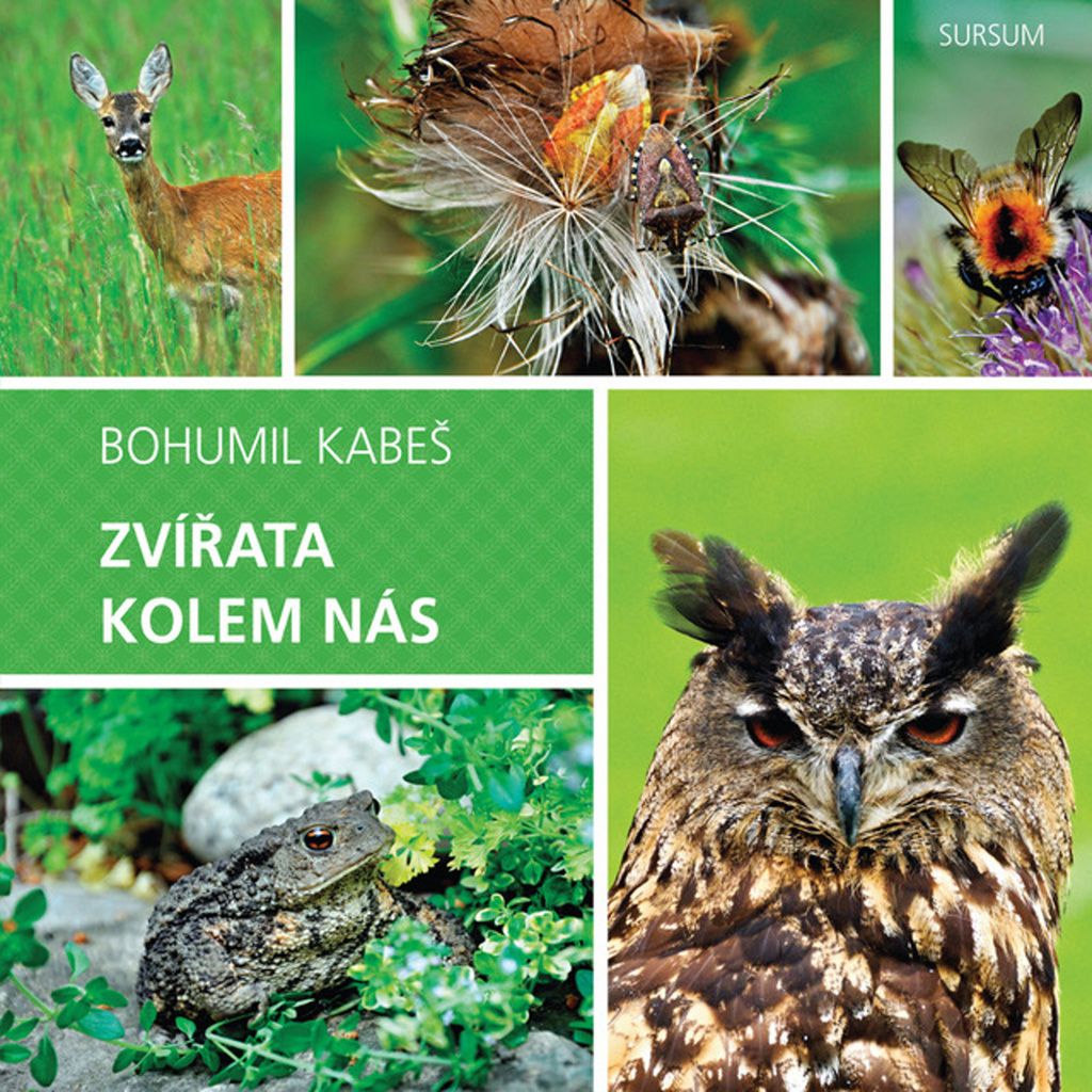 Zvířata kolem nás | Bohumil Kabeš
