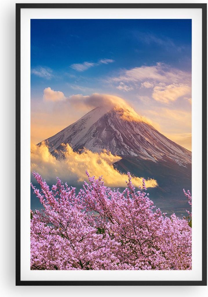 Gerahmtes Poster - Schwarzer Rahmen - Fuji Blume Kirsche - 61x91,5 cm - Wand Bild - Wanddeko - Wandbilder - Kunstposter - Wandposter - Bilderrahmen...