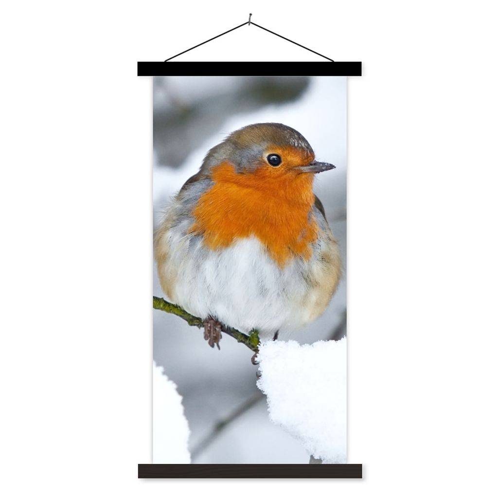 MuchoWow Textilposter Rotkehlchen - Schnee - Winter 60x120 cm mit schwarzem Rahmen - Magnete