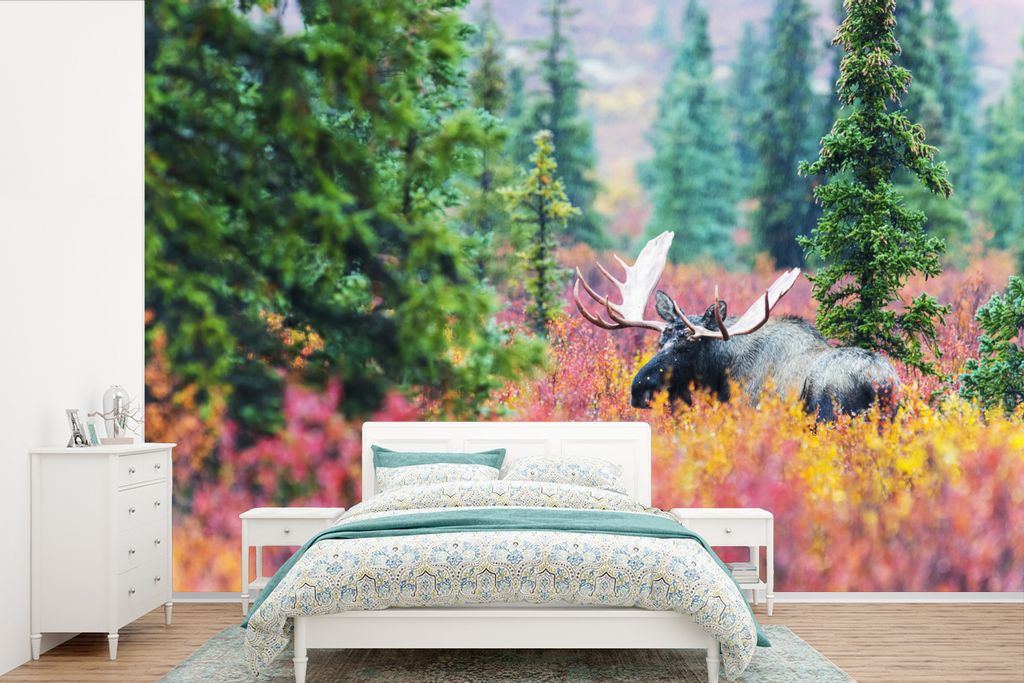 MuchoWow Fototapete für Wohnzimmer oder Schlafzimmer Wandtapete Vinyl Motivtapete Ein Elch in der herbstlichen Landschaft des Denali National La...