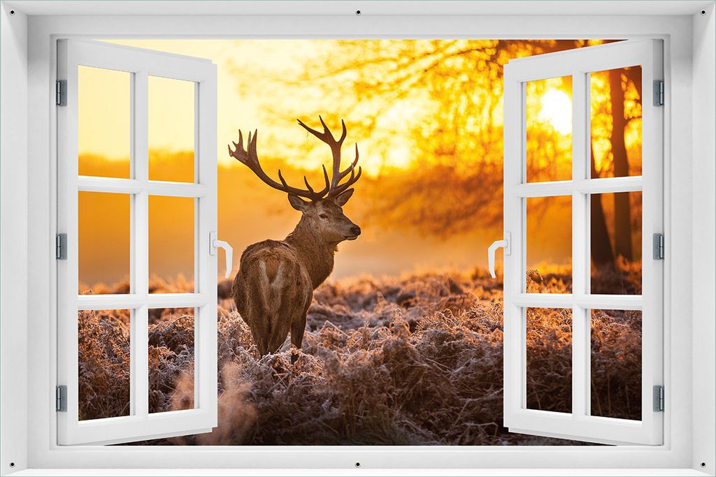 Wallario Outdoor-Poster für Garten oder Balkon 61 x 91,50 cm: stattlicher Rothirsch im Morgengrauen