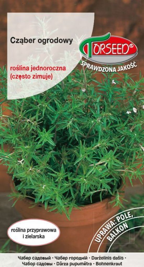 Samen von Bohnenkraut, Satureja hortensis 1g - Torseed Produktbild 