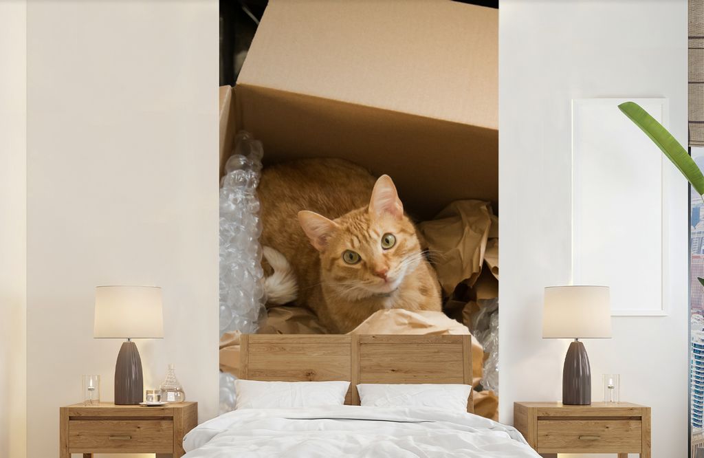 MuchoWow Fototapete für Wohnzimmer oder Schlafzimmer Wandtapete Vinyl Motivtapete Katze - Box - Rot - 120x240 cm - Hintergrundbild