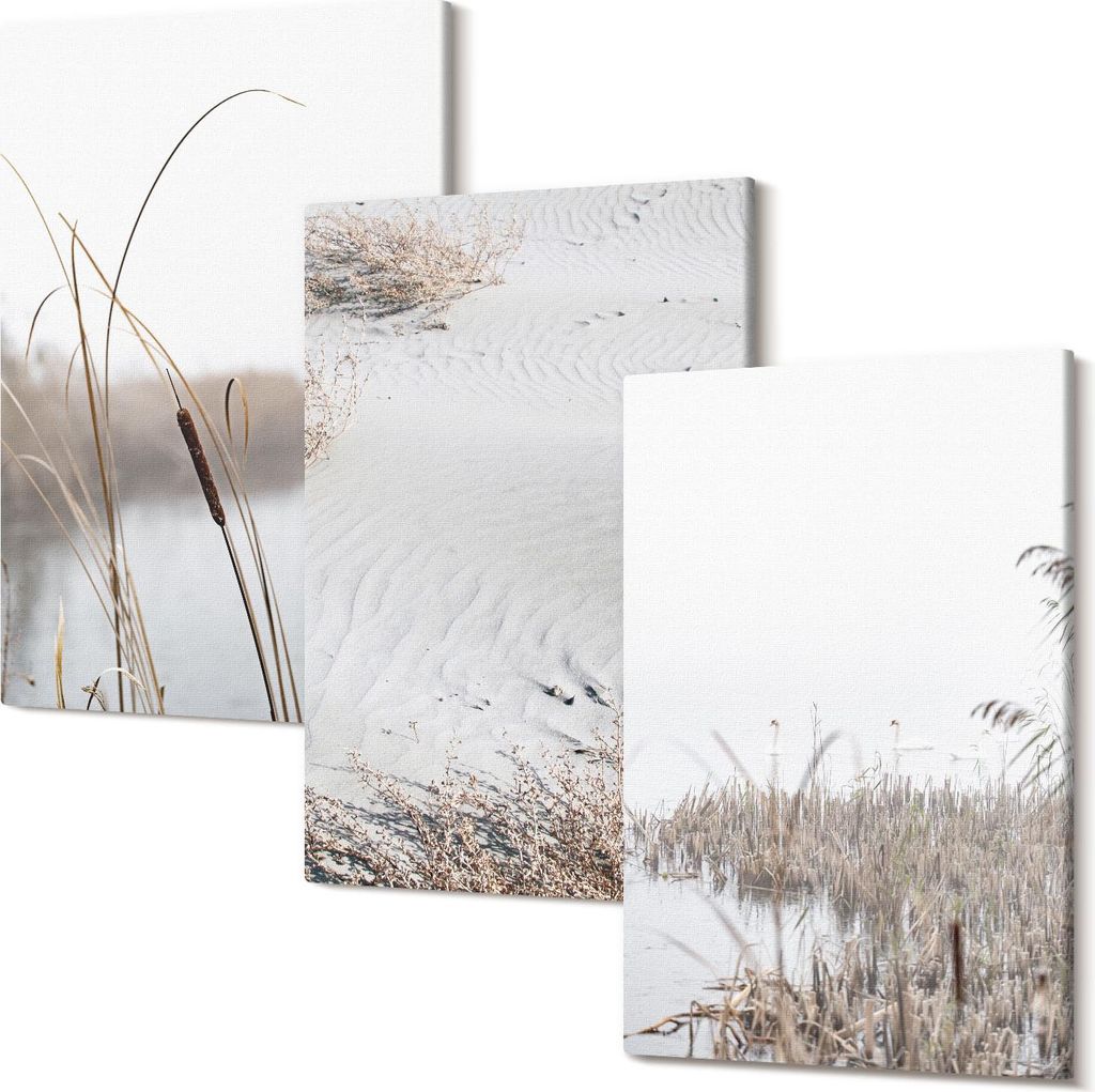 Leinwandbild – Wandbild – Leinwandbilder – Kunstdruck – Polycanvas – Modern – Mehrteilig – 3-Teilig Set – Hochwertig – Geruchslos...