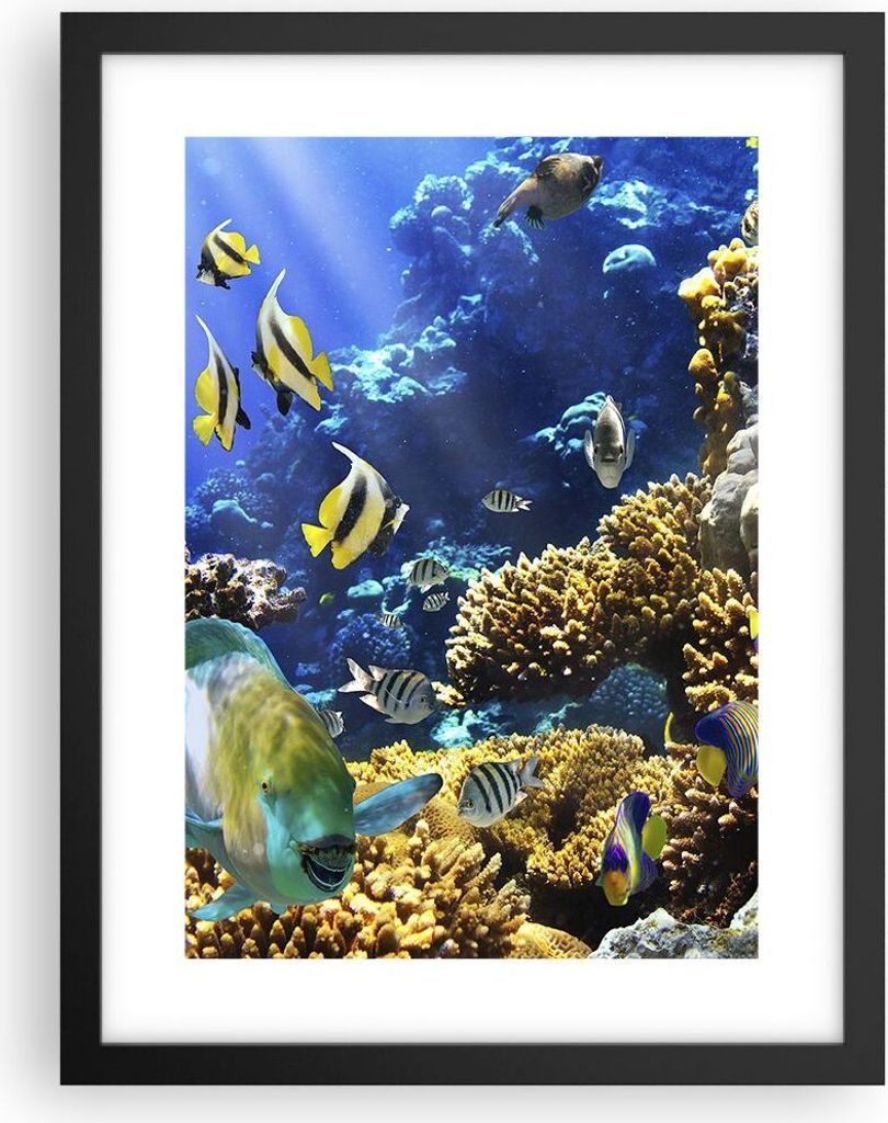 Gerahmtes Poster - Schwarzer Rahmen - Korallenriff Ozean Krabbe Fisch - 30x40 cm - Wand Bild - Wanddeko - Wandbilder - Wandposter - Bilderrahmen - ...