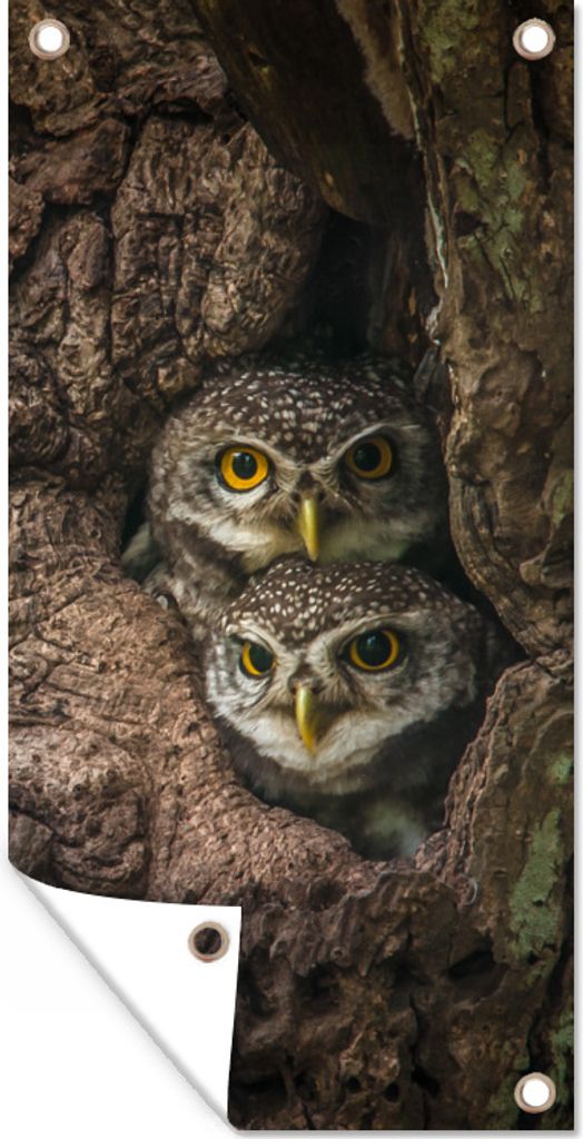 MuchoWow 80x160 cm Outdoor-Poster Gartendeko Sichtschutz Garten Poster für den Garten Eulen auf einem Baum