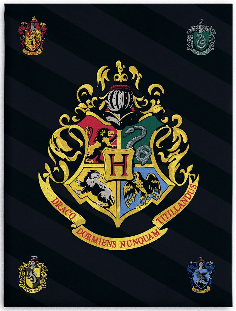 The image displays the Hogwarts crest and the crests of the four houses of Hogwarts, set against a dark, striped background. This is likely marketing material for Harry Potter merchandise.
