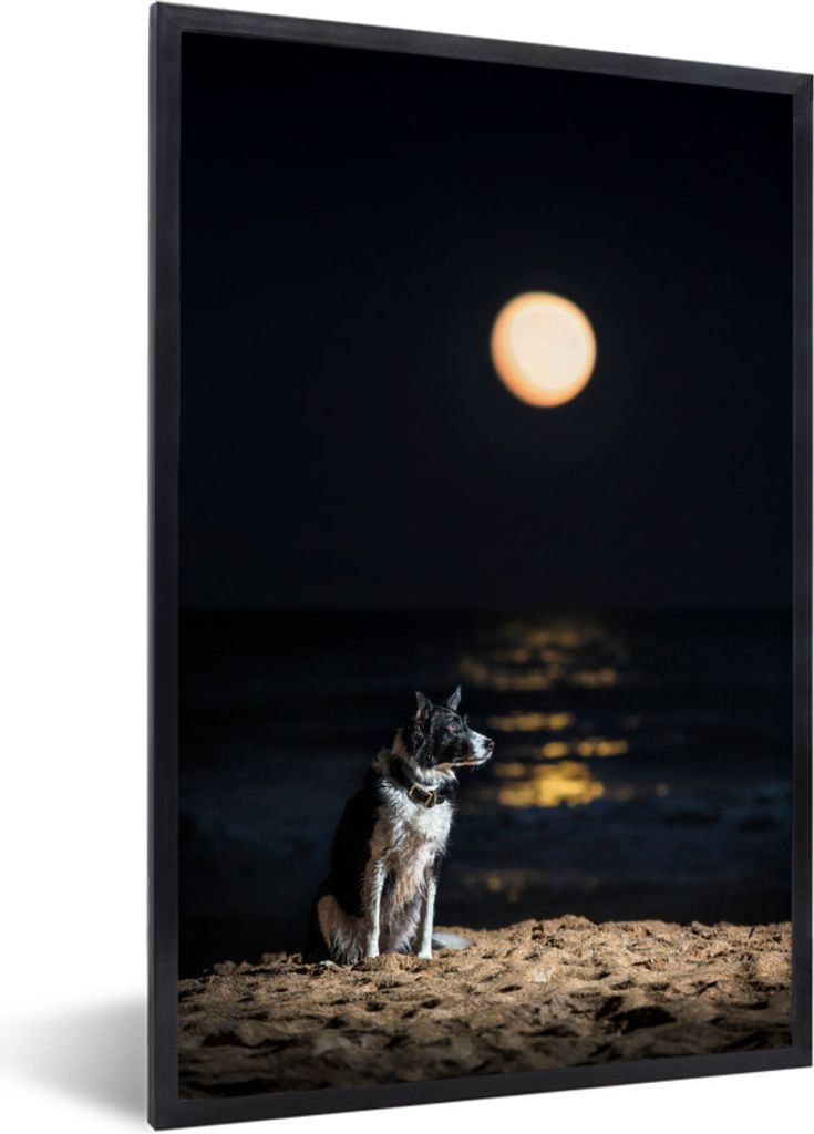 MuchoWow® MuchoWow® Gerahmtes Poster Ein Porträt eines Produktbild 