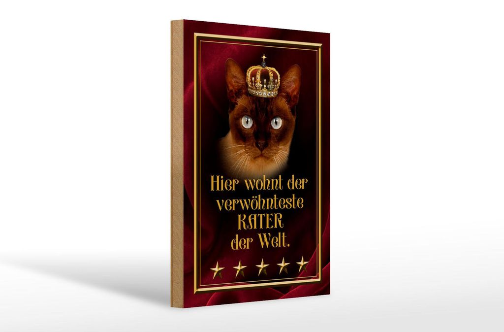 Holzschild Spruch 20x30cm hier wohnt Kater der Welt