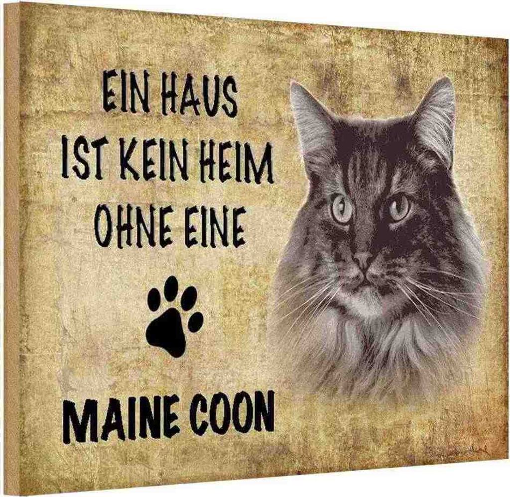 vianmo Holzschild 12x18 cm Maine Coon Katze ohne kein Heim Tier Haustier