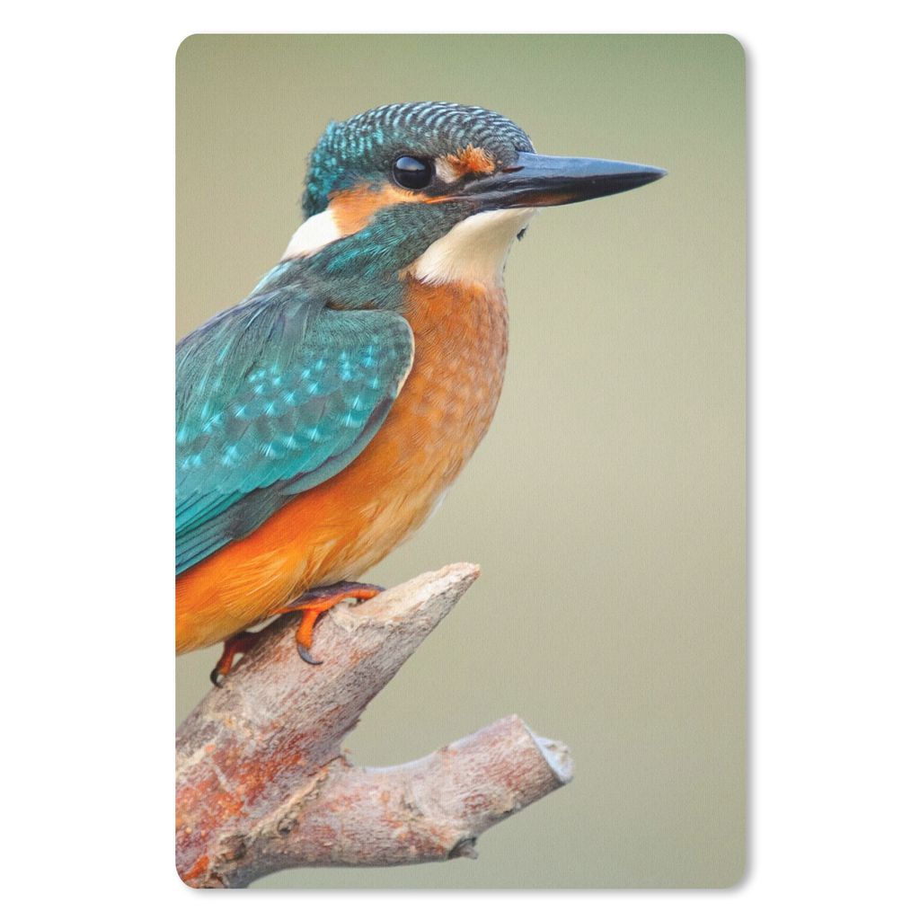 MuchoWow Mauspad Mousepad Vogel - Eisvogel - Zweig 18x27 cm - Mousepads - Maus Mat - Pad - Mausunterlage