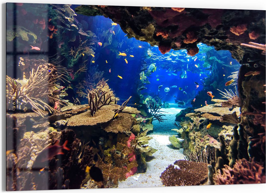 DEQORI Glasbild Echtglas 90x60 cm 'Exotisches Aquarium' Wandbild Bild modern Deko
