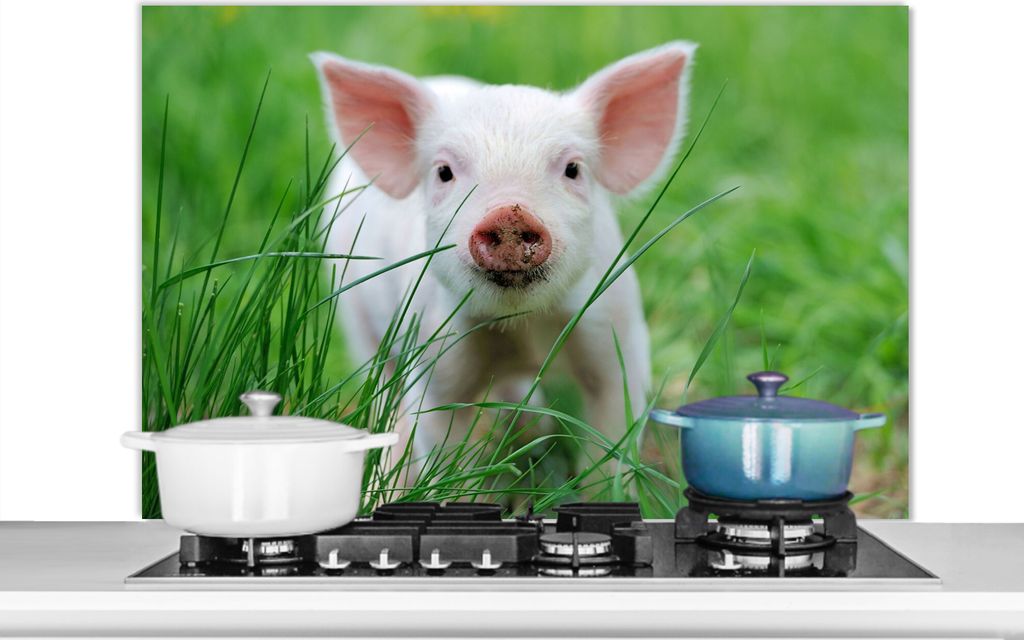 KitchenYeah Spritzschutz Küche - Küchenrückwand - Wandschutz für Herd und Spüle - Schwein - Tiere - Groß 100x65 - Alu-Dibond (Alternative ...