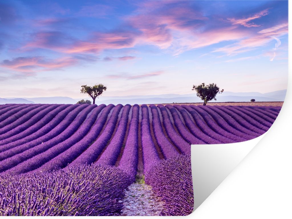 MuchoWow Wandtattoo Wandsticker Wandaufkleber Lavendel - Natur - Lila - Bäume - Blumen 80x60 cm Selbstklebend und Repositionierbar - Faltenfrei